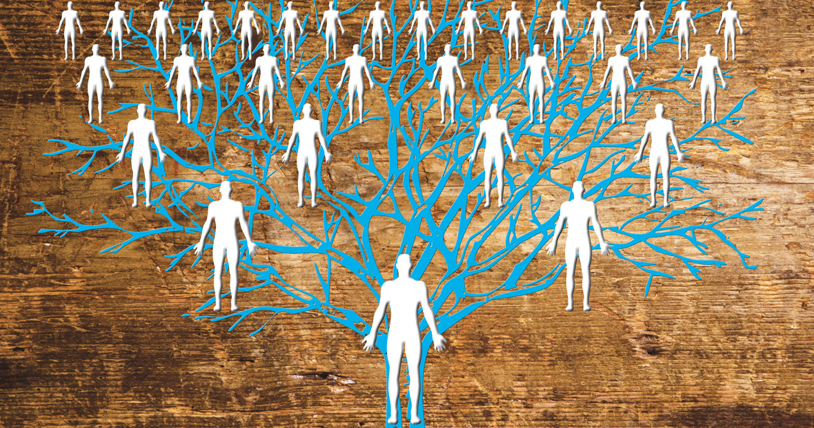 arbre généalogique